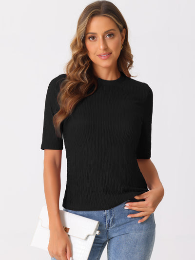 Crew Neck Short Sleeve Textured Basic Casual Blouse