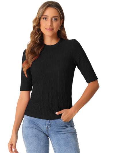 Crew Neck Short Sleeve Textured Basic Casual Blouse