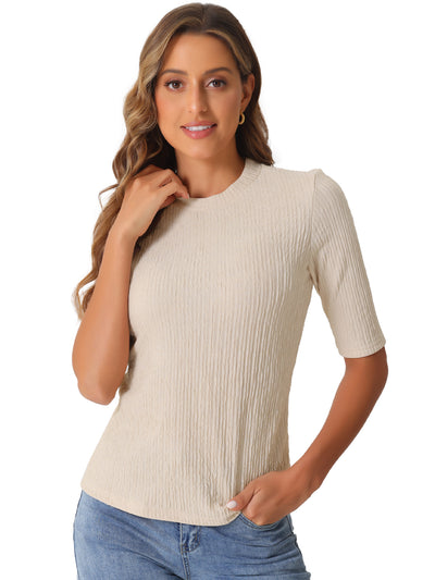 Crew Neck Short Sleeve Textured Basic Casual Blouse