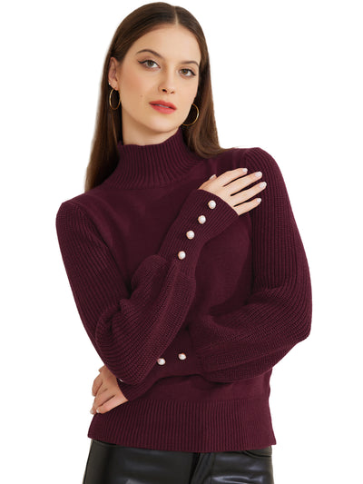 Turtle Neck Long Sleeve Ribbed Pullover Knit Sweater