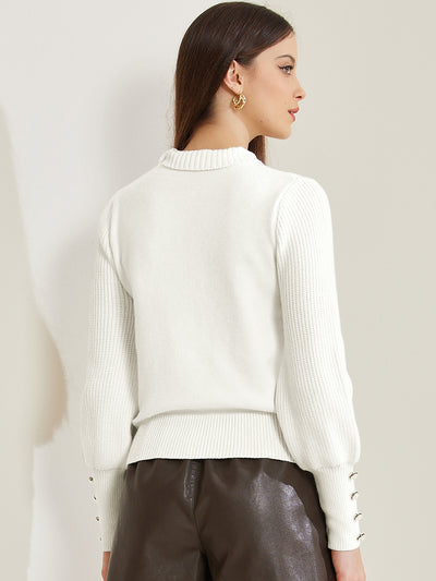 Turtle Neck Long Sleeve Ribbed Pullover Knit Sweater