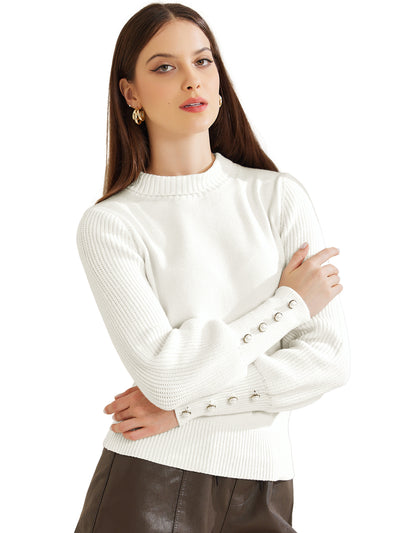 Turtle Neck Long Sleeve Ribbed Pullover Knit Sweater