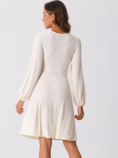 V Neck Criss Cross Long Sleeve Textured A-Line Midi Dress