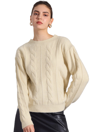 Long Sleeve Pullover Cable Knit Crew Neck Sweater