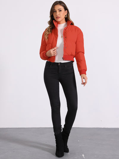 Baggy Padded Cropped Winter Bomber Jacket