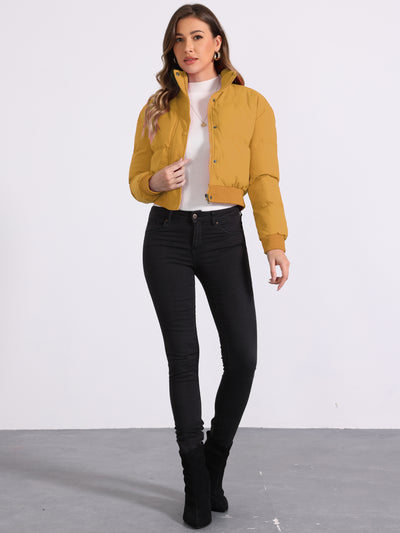 Baggy Padded Cropped Winter Bomber Jacket