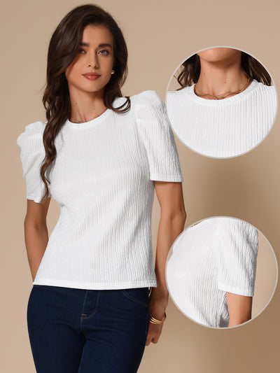 Puff Short Sleeve Round Neck Textured Blouse