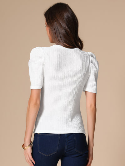 Puff Short Sleeve Round Neck Textured Blouse