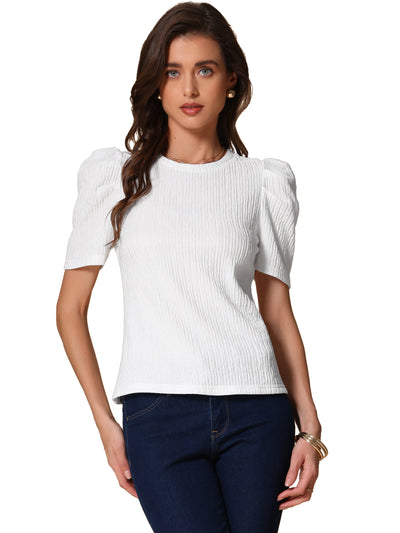 Puff Short Sleeve Round Neck Textured Blouse