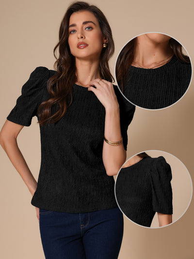 Puff Short Sleeve Round Neck Textured Blouse