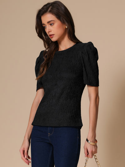 Puff Short Sleeve Round Neck Textured Blouse