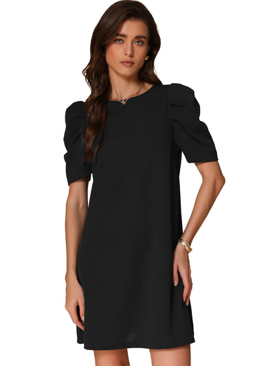 Women's Casual Puff Short Sleeve Stretchy Basic A-Line T-Shirt Dress