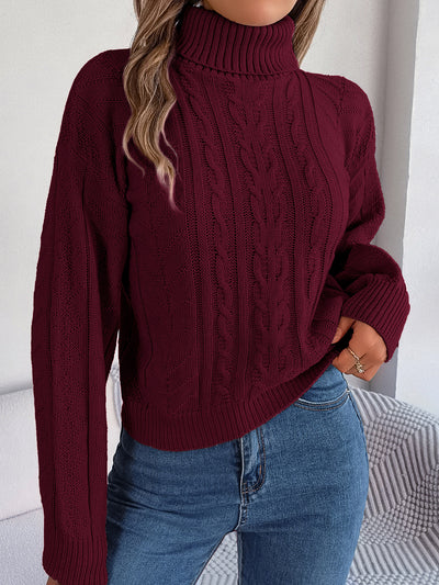 Turtle Neck Twist Knit Long Sleeve Pullover Sweater