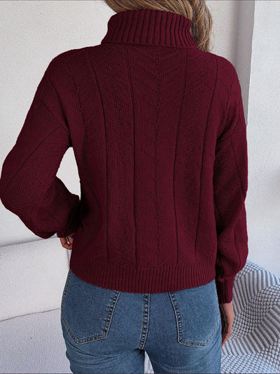 Turtle Neck Twist Knit Long Sleeve Pullover Sweater