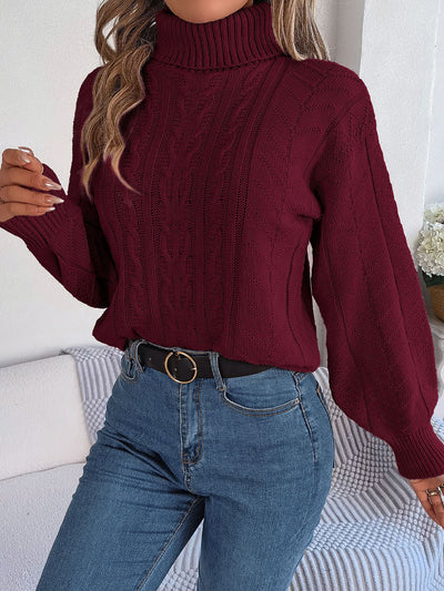 Turtle Neck Twist Knit Long Sleeve Pullover Sweater