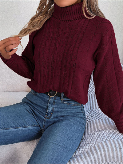 Turtle Neck Twist Knit Long Sleeve Pullover Sweater