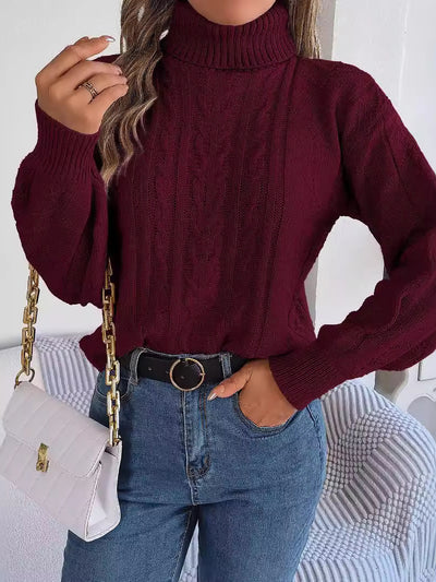 Turtle Neck Twist Knit Long Sleeve Pullover Sweater