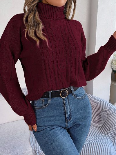 Turtle Neck Twist Knit Long Sleeve Pullover Sweater