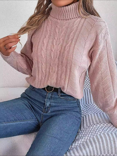 Turtle Neck Twist Knit Long Sleeve Pullover Sweater