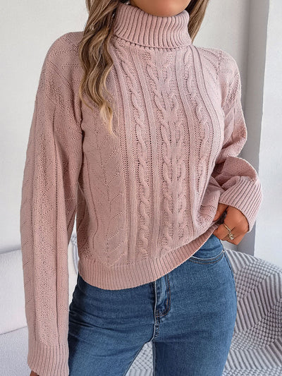 Turtle Neck Twist Knit Long Sleeve Pullover Sweater