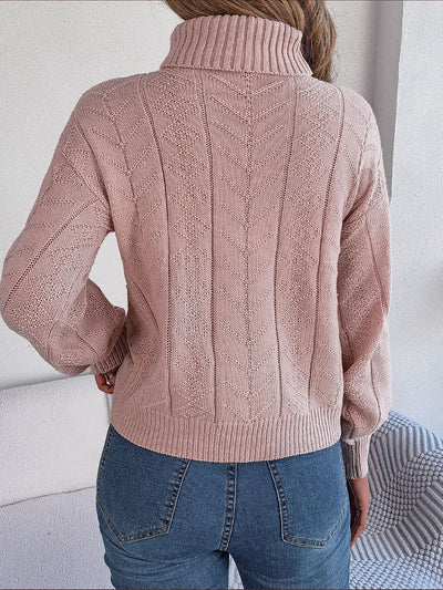 Turtle Neck Twist Knit Long Sleeve Pullover Sweater