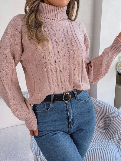 Turtle Neck Twist Knit Long Sleeve Pullover Sweater