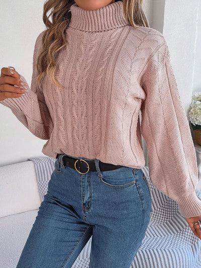 Turtle Neck Twist Knit Long Sleeve Pullover Sweater