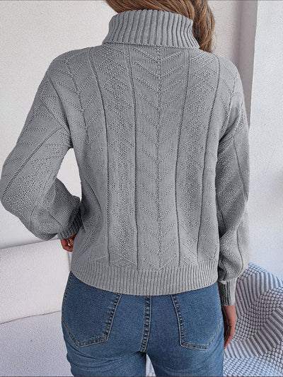 Turtle Neck Twist Knit Long Sleeve Pullover Sweater