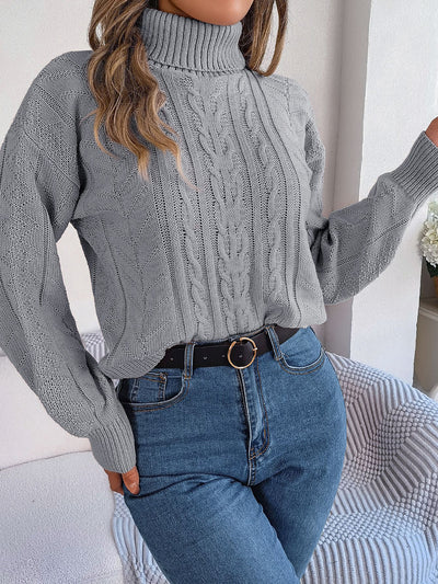 Turtle Neck Twist Knit Long Sleeve Pullover Sweater