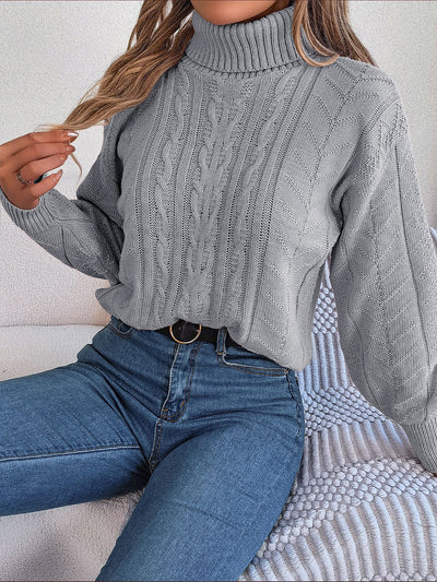 Turtle Neck Twist Knit Long Sleeve Pullover Sweater