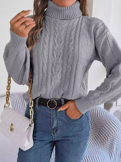 Turtle Neck Twist Knit Long Sleeve Pullover Sweater