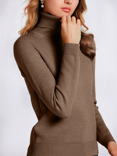 Fleece Thermal Turtle Neck Long Sleeves Sweater