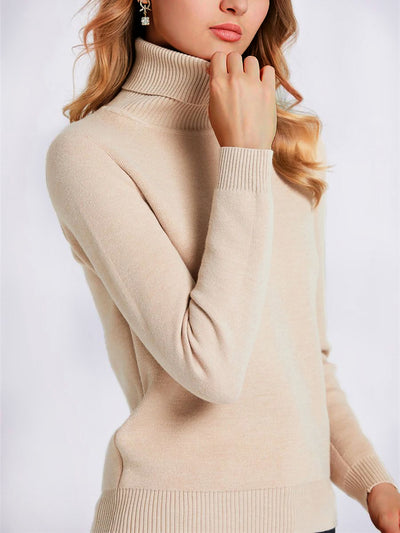 Fleece Thermal Turtle Neck Long Sleeves Sweater