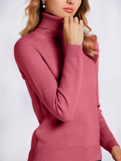 Fleece Thermal Turtle Neck Long Sleeves Sweater