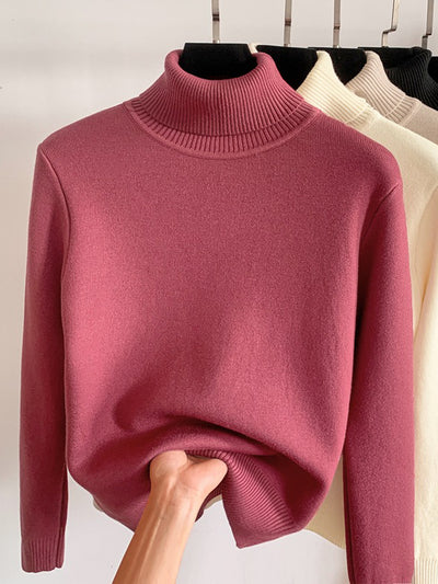 Fleece Thermal Turtle Neck Long Sleeves Sweater