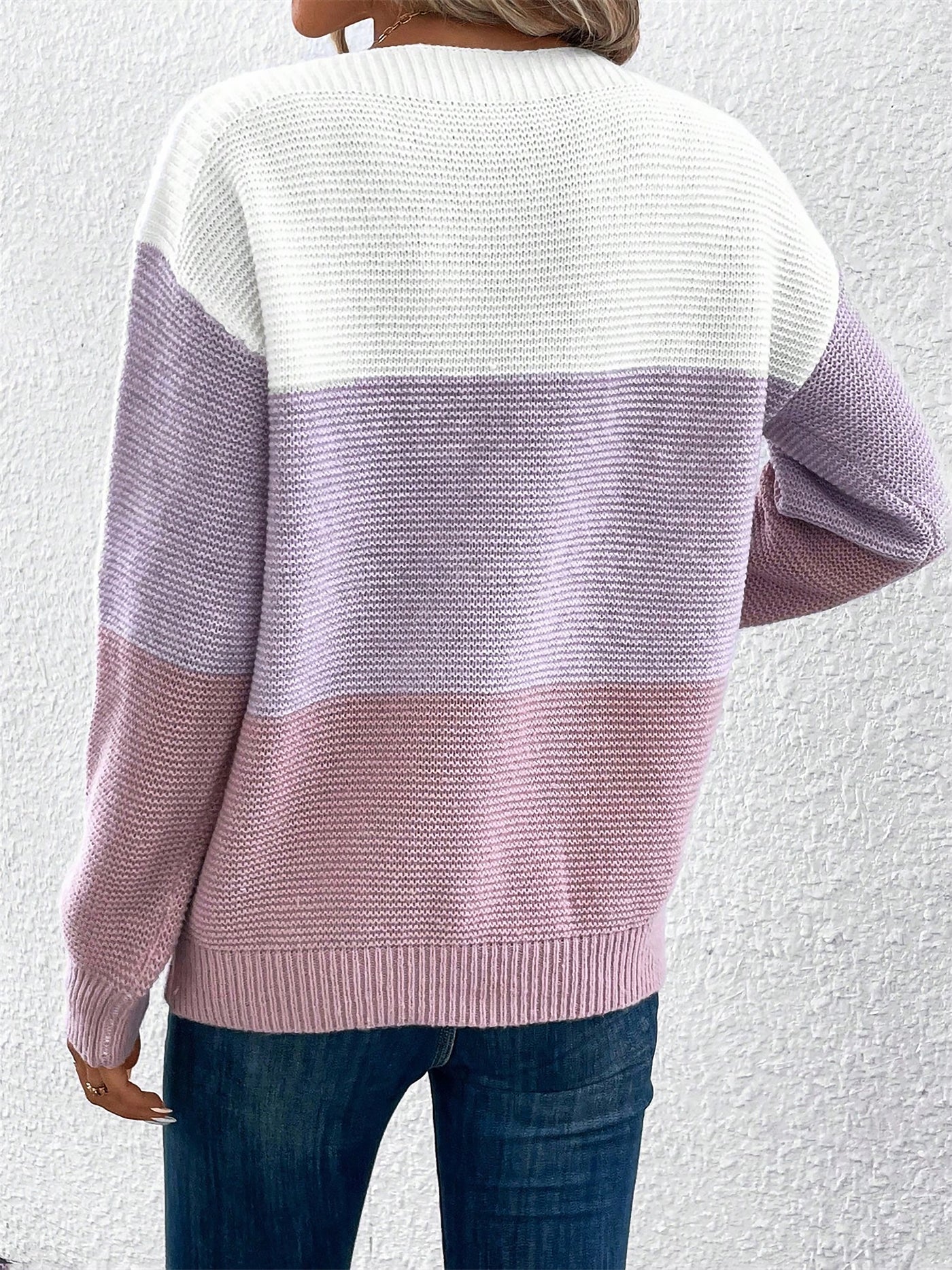 Allegra K Round Neck Colorblock Long Sleeve Knitted Sweater