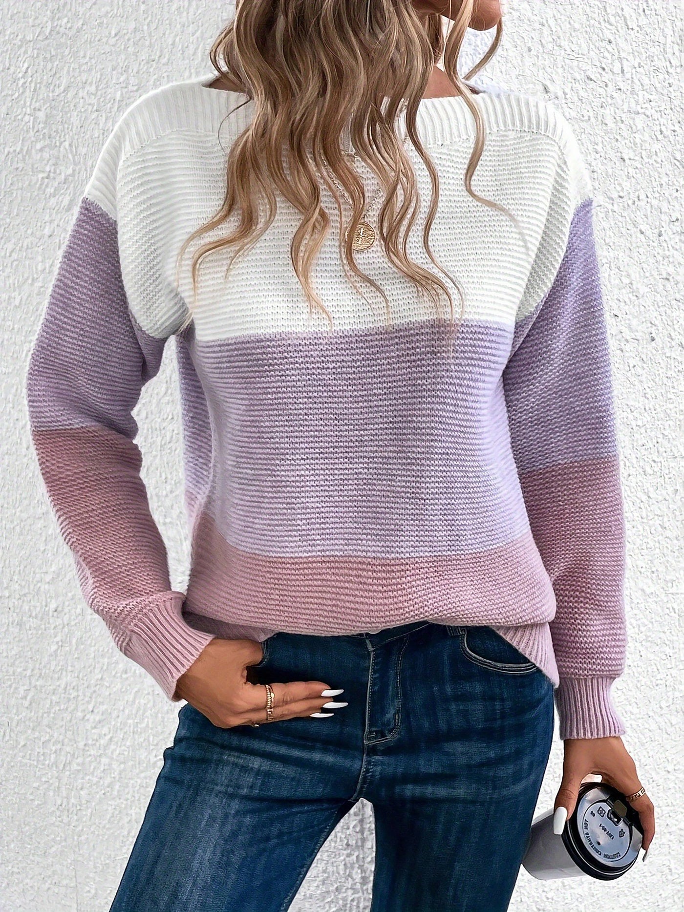 Allegra K Round Neck Colorblock Long Sleeve Knitted Sweater